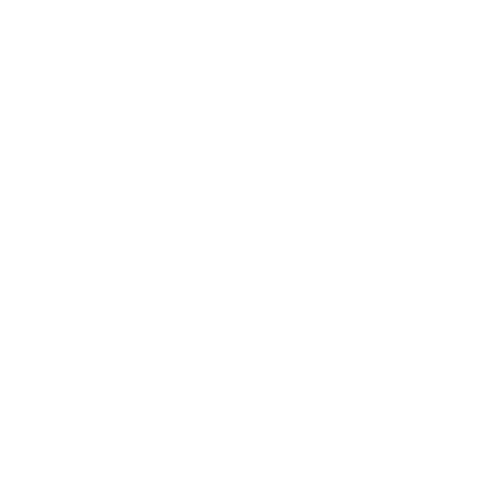 RoboShadow mascot mark